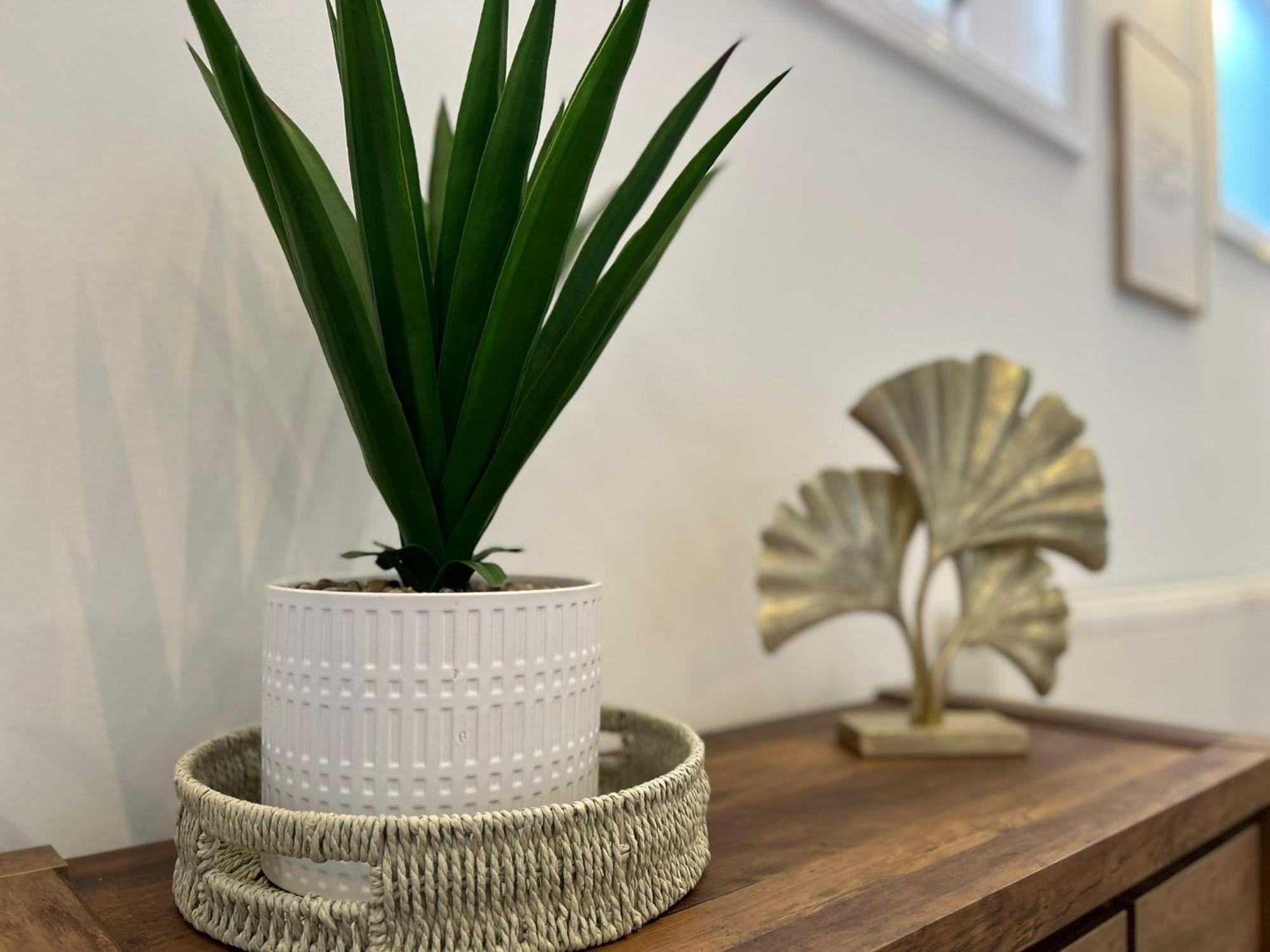 Whitchurch High Street Hideaway المظهر الخارجي الصورة